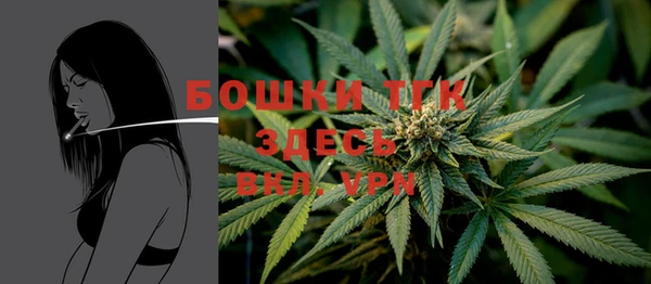 ешки Медногорск