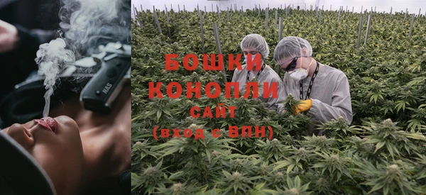 ALPHA PVP Медвежьегорск