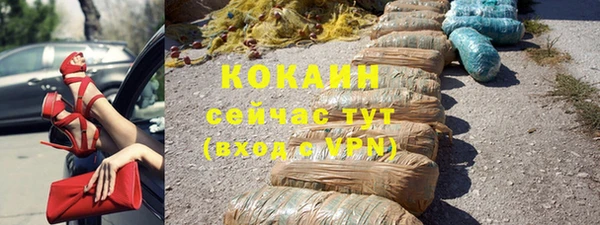 ешки Медногорск