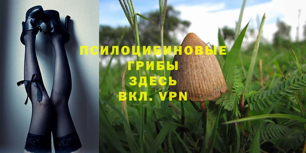 ешки Медногорск