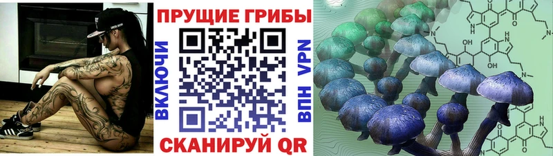 Галлюциногенные грибы Psilocybine cubensis Чекалин