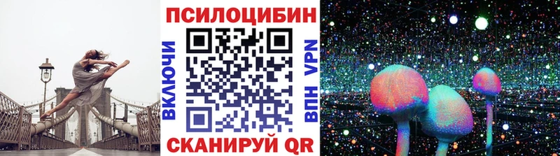 дарнет шоп  Чекалин  Галлюциногенные грибы GOLDEN TEACHER 